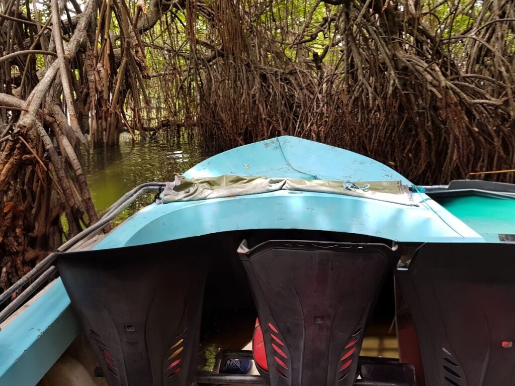 Madu river boat safari2 madu river boat safari