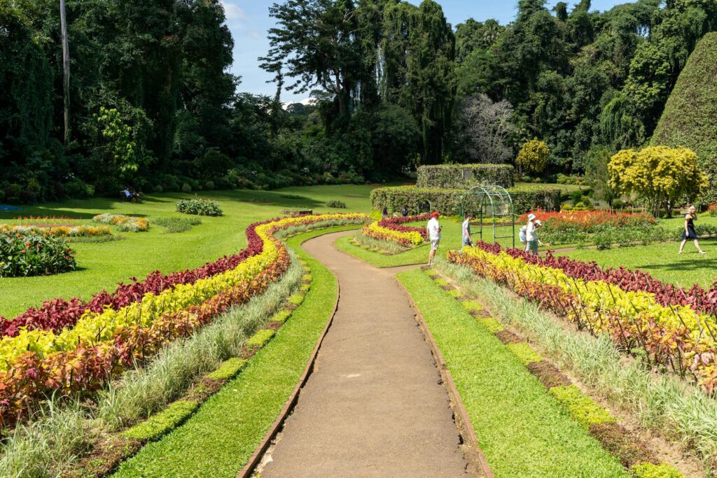 Royal Botanical Garden at Peradeniya2 Royal Botanical Garden at Peradeniya